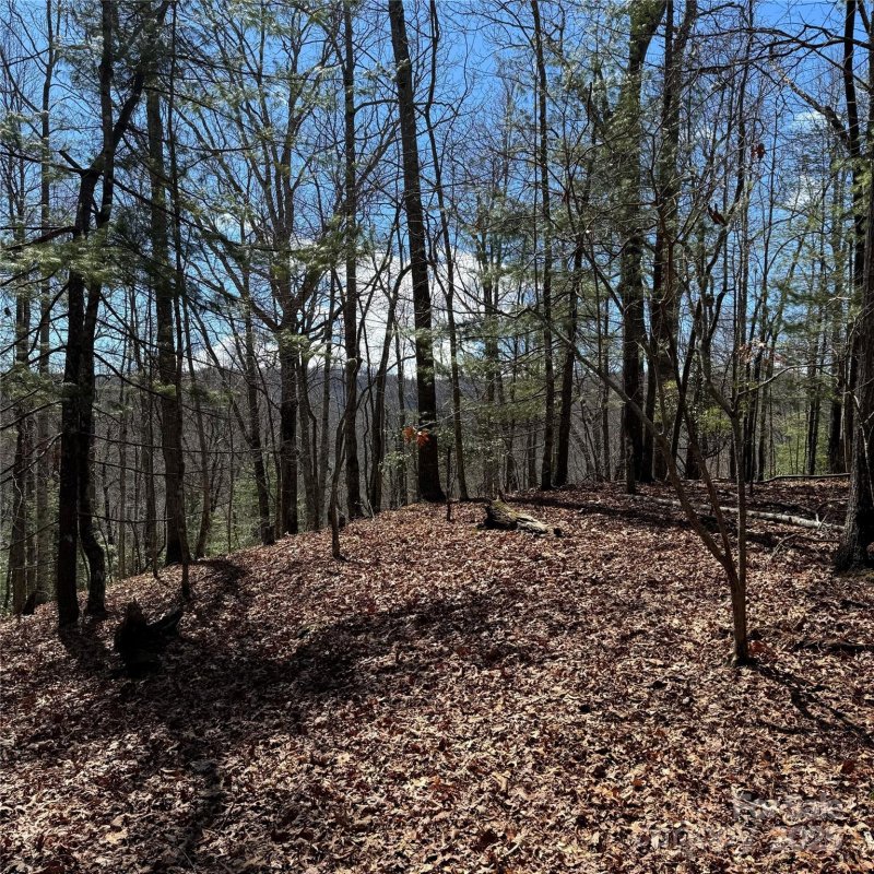 Property image 2 at Tract 32 B Kentwood Lane, Pisgah Forest, NC 28768