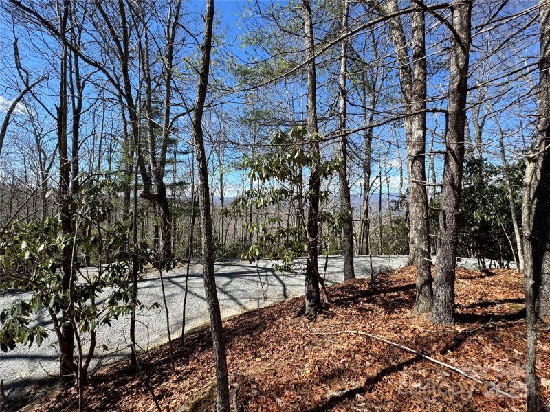 Property image 3 at Tract 32 B Kentwood Lane, Pisgah Forest, NC 28768