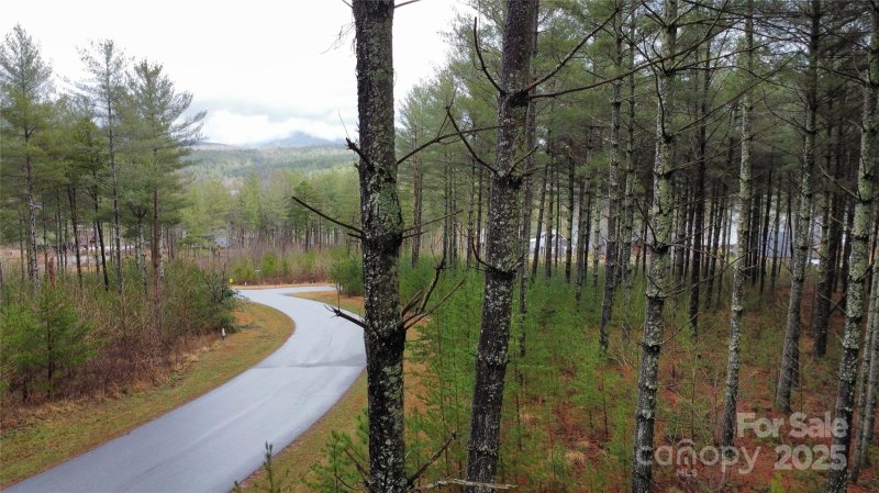 Property image 3 of 26 Peninsula Reserve Road in The Peninsula at Lake James, Nebo, NC 28761