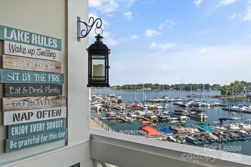 Property image 2 at 18767 Vineyard Point Lane, Cornelius, NC 28031