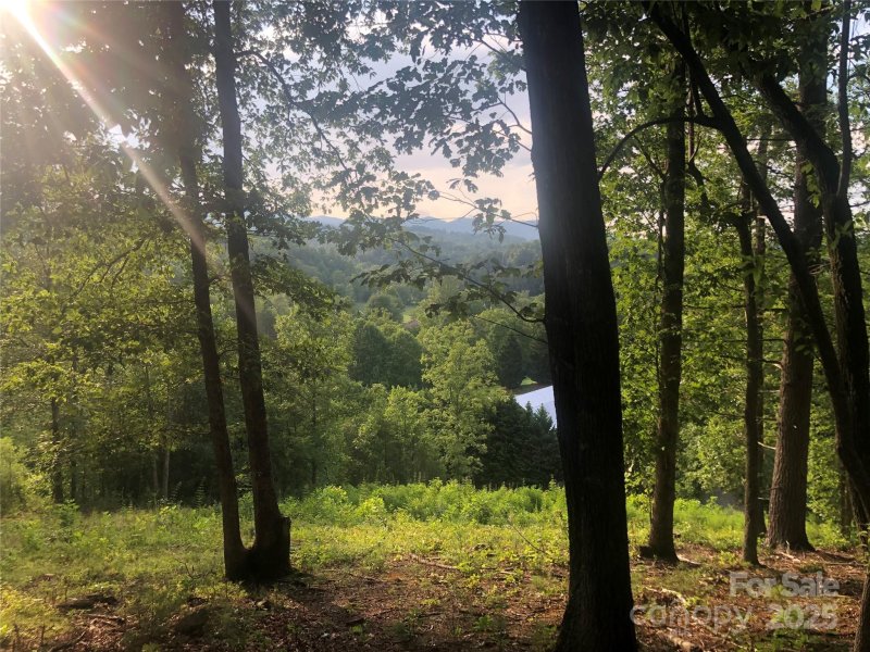 Property image 4 of 31 Timber Hill Drive in Timber Ridge, Leicester, NC 28748