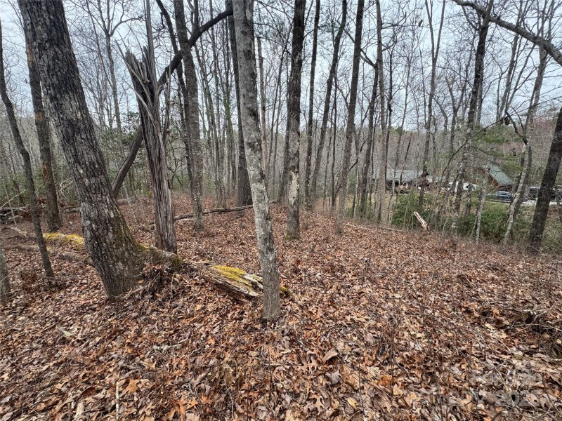 Property image 2 at 999 Moon Circle, Brevard, NC 28712