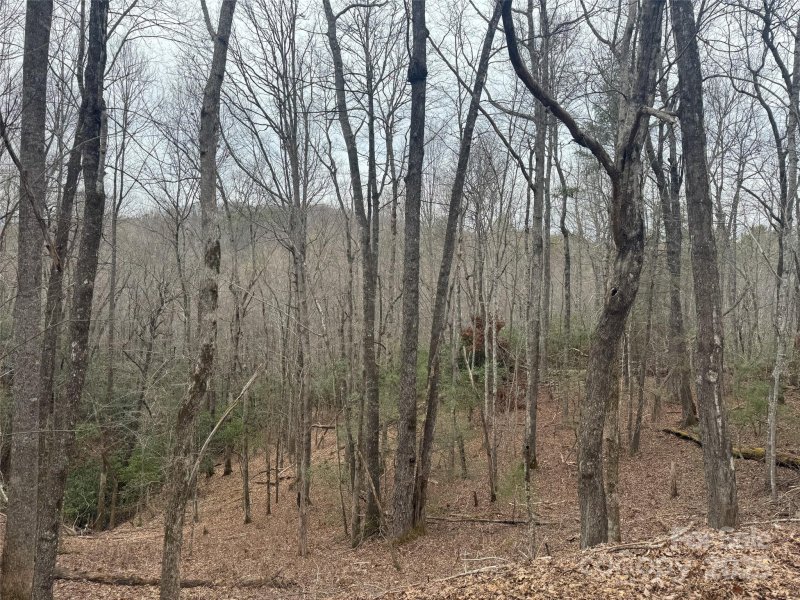 Property image 4 at 999 Moon Circle, Brevard, NC 28712