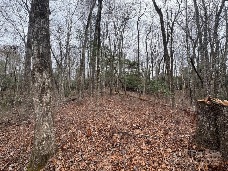 Property image 5 at 999 Moon Circle, Brevard, NC 28712