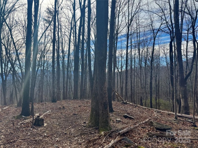 99999 Chesterfield Drive