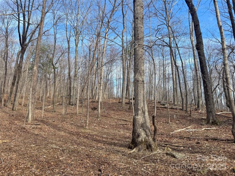 Property image 2 of 99999 Chesterfield Drive in Brights Creek, Mill Spring, NC 28756