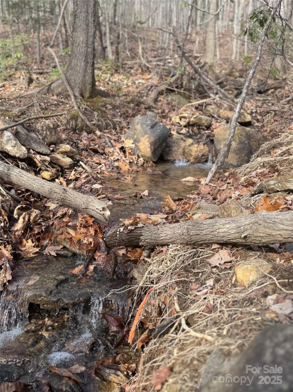 Property image 3 of 99999 Chesterfield Drive in Brights Creek, Mill Spring, NC 28756