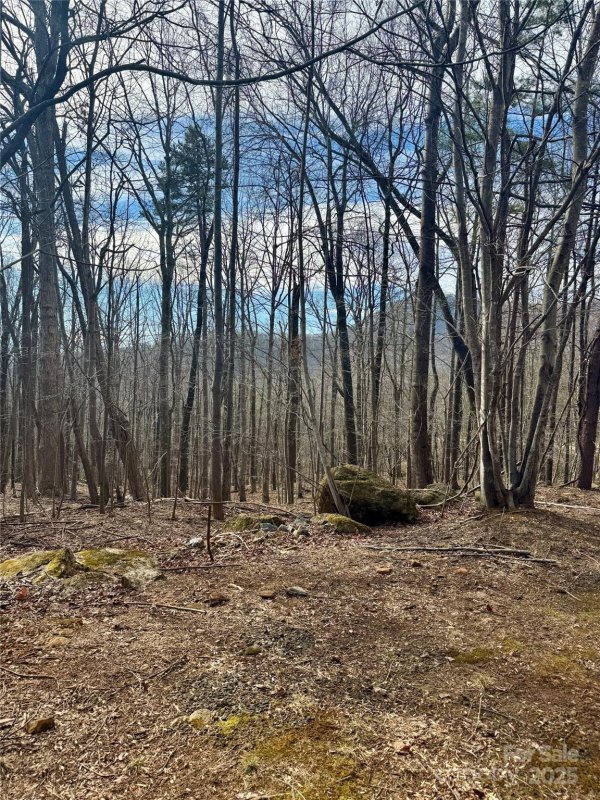 Property image 4 of 99999 Chesterfield Drive in Brights Creek, Mill Spring, NC 28756