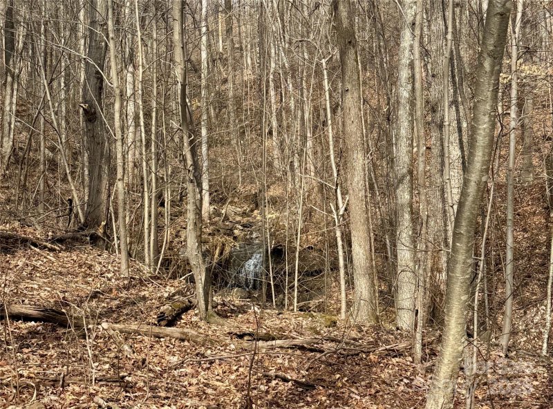 99999 Chesterfield Drive