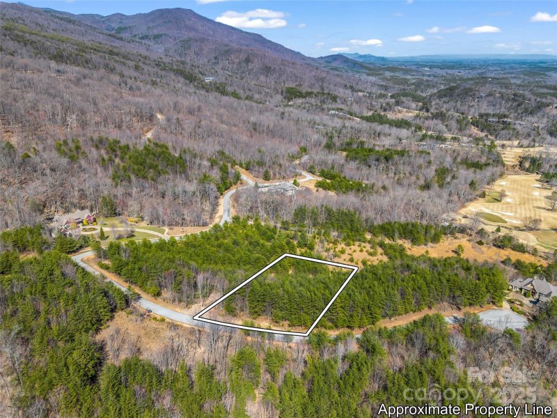 Property image 3 of 151 Birkdale Drive in Brights Creek, Mill Spring, NC 28756