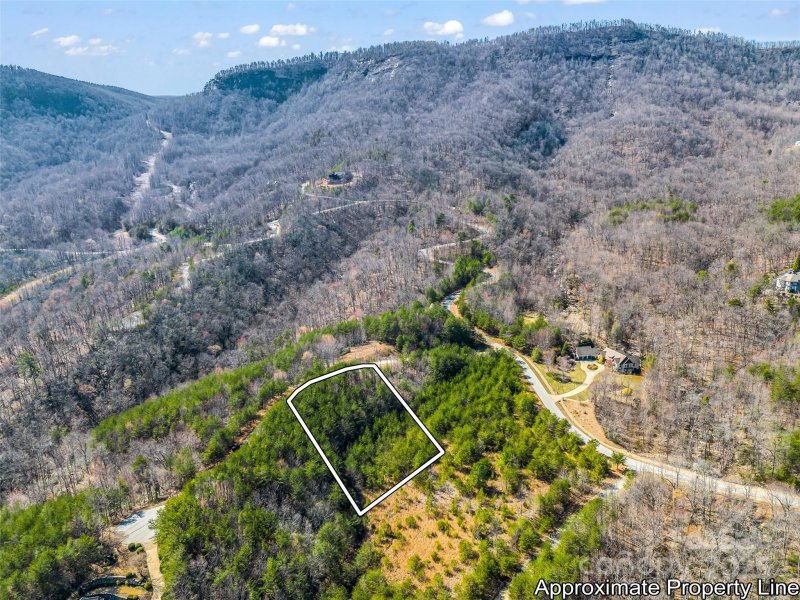 Property image 4 of 151 Birkdale Drive in Brights Creek, Mill Spring, NC 28756