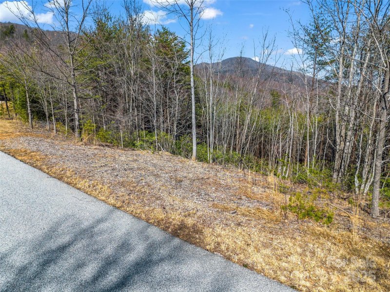 Property image 5 of 151 Birkdale Drive in Brights Creek, Mill Spring, NC 28756