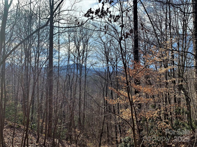 Property image 2 at 171 Woodchuck Lane, Marion, NC 28752