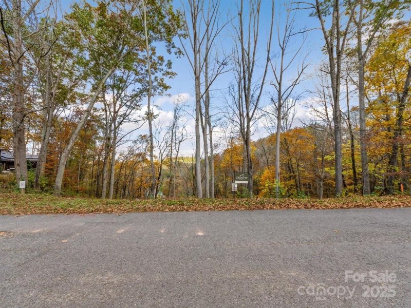 Property image 5 of 17 Tulip Poplar Trail in Olivette, Asheville, NC 28804