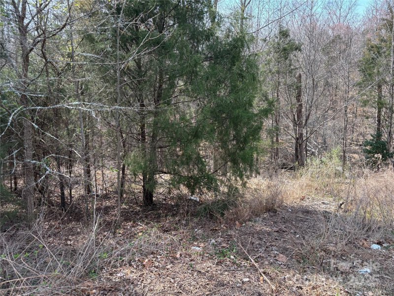 Property image 3 at 8800 Landsdowne Avenue, Harrisburg, NC 28075