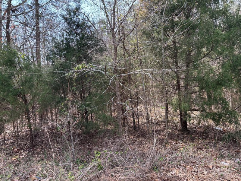 Property image 4 at 8800 Landsdowne Avenue, Harrisburg, NC 28075