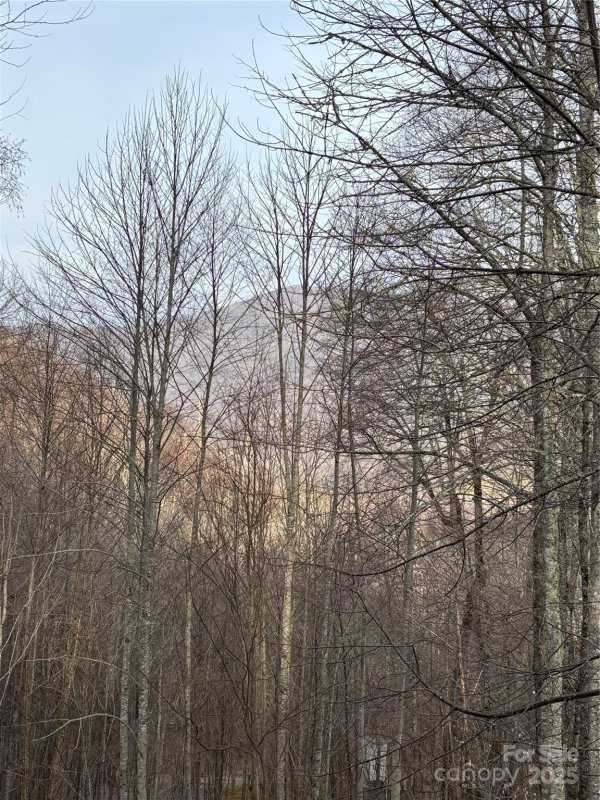 Property image 3 at 000 Spruce Flats Road, Maggie Valley, NC 28751