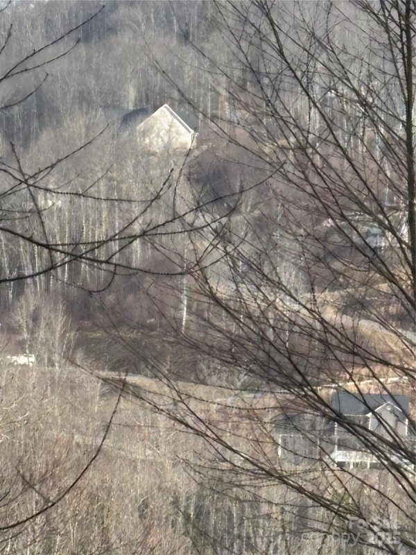 Property image 4 at 000 Spruce Flats Road, Maggie Valley, NC 28751