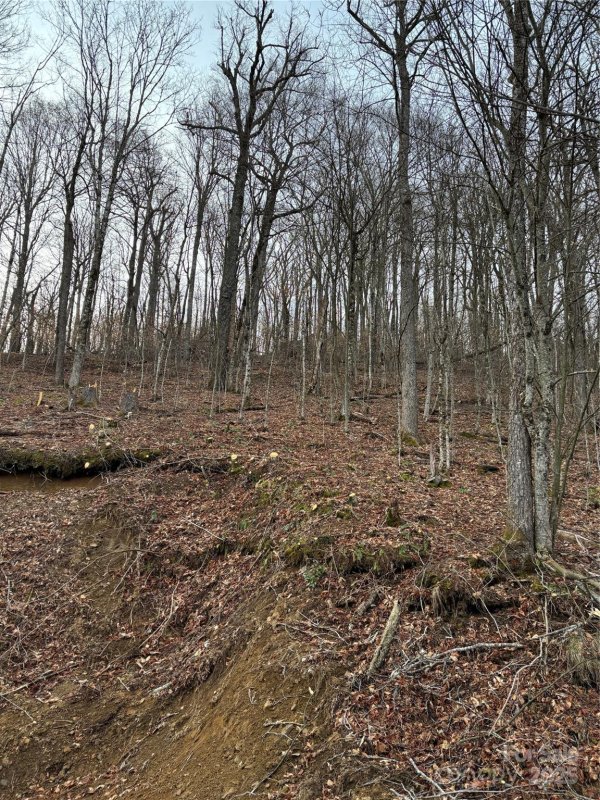 Property image 5 at 000 Spruce Flats Road, Maggie Valley, NC 28751