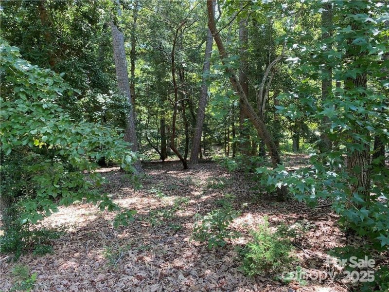 Property image 5 of 1659 Southpoint Lane in Uwharrie Point, New London, NC 28127