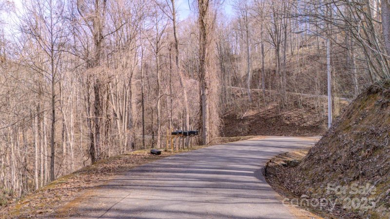 Property image 4 at 508 Blake Drive, Canton, NC 28716