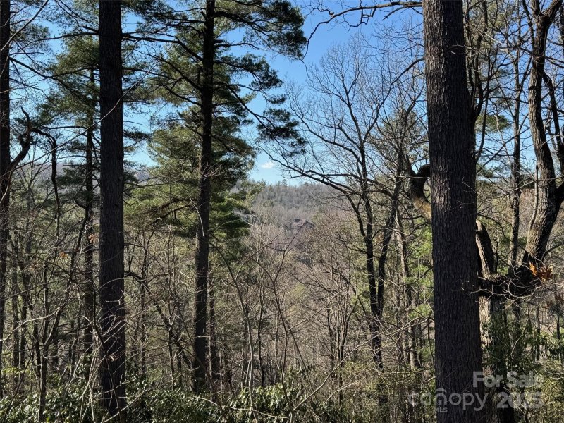 Property image 2 at 321 Silent Rise Lane, Flat Rock, NC 28731