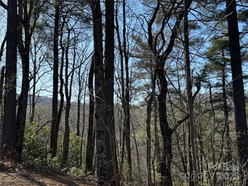 Property image 3 at 321 Silent Rise Lane, Flat Rock, NC 28731