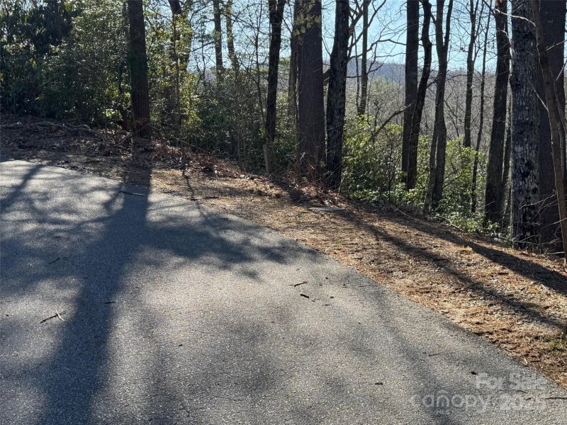 Property image 4 at 321 Silent Rise Lane, Flat Rock, NC 28731