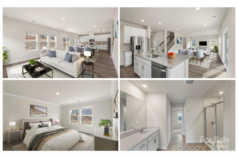 Property image 2 of 117 Obadiah Court in Sutters Mill, Troutman, NC 28115