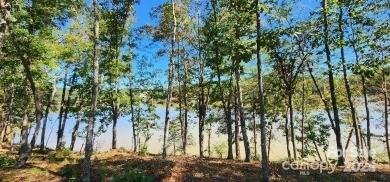 Property image 3 of Lot 229 Scenic Lane in The Waterfront Club, Granite Falls, NC 28630