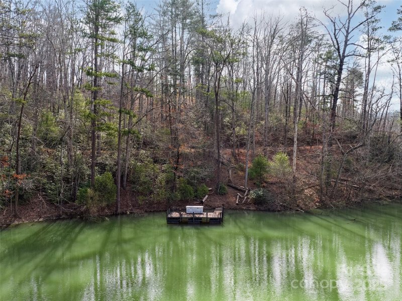 Property image 3 of Lot 27 South Cove Road in Lake Adger, Mill Spring, NC 28756
