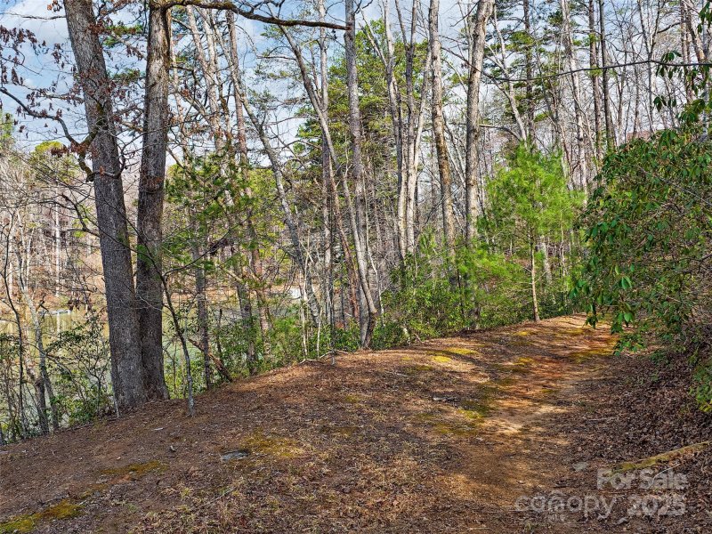 Property image 5 of Lot 27 South Cove Road in Lake Adger, Mill Spring, NC 28756
