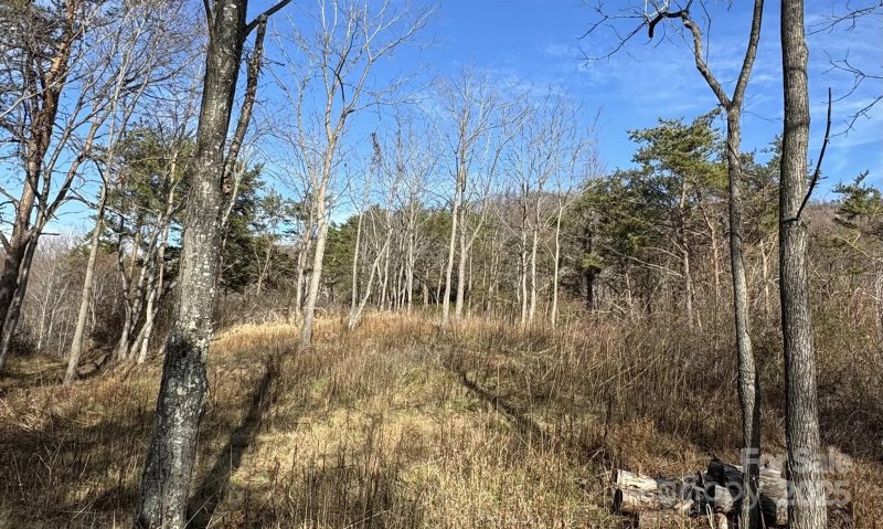 Property image 5 of 989 High Rock View Drive in The Summit Of Asheville, Canton, NC 28716