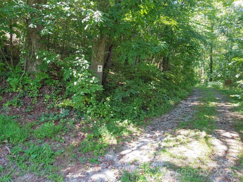 Property image 2 of 0000 Thomasville Lane in Chestnut Hills, Gerton, NC 28735