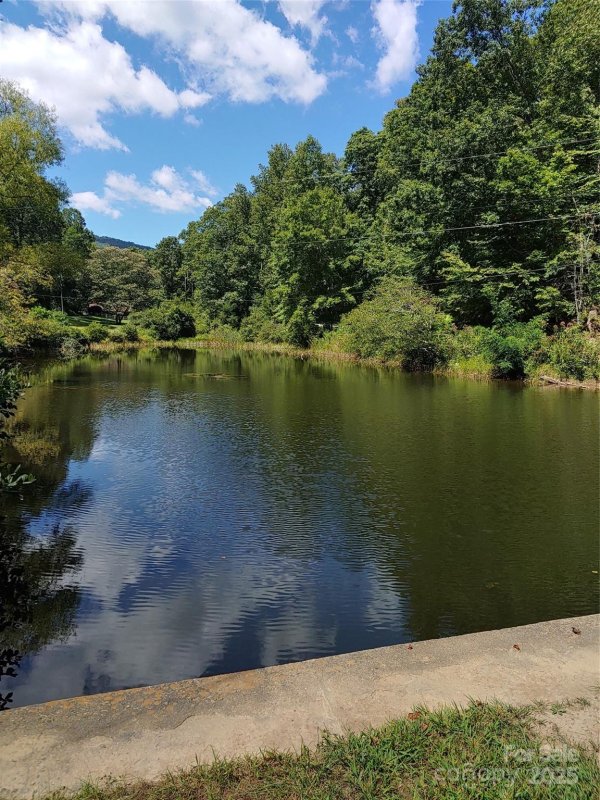 Property image 5 of 0000 Thomasville Lane in Chestnut Hills, Gerton, NC 28735