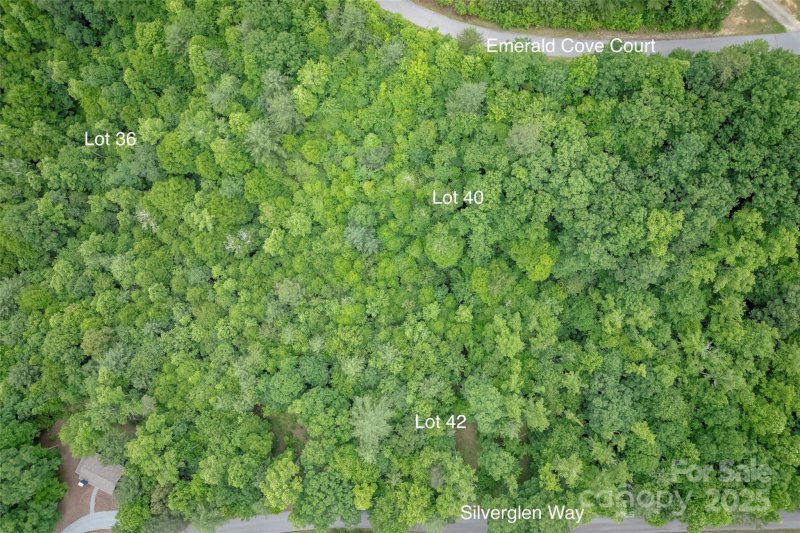 Property image 2 of 315 Silverglen Way in Silverglen, Hendersonville, NC 28792