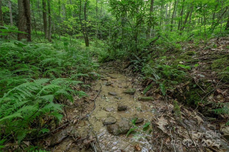 Property image 4 of 315 Silverglen Way in Silverglen, Hendersonville, NC 28792