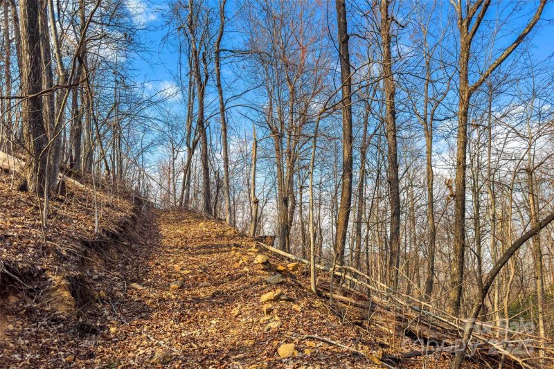 Property image 4 at Lot 224 Cumberland Falls Trail, Black Mountain, NC 28711