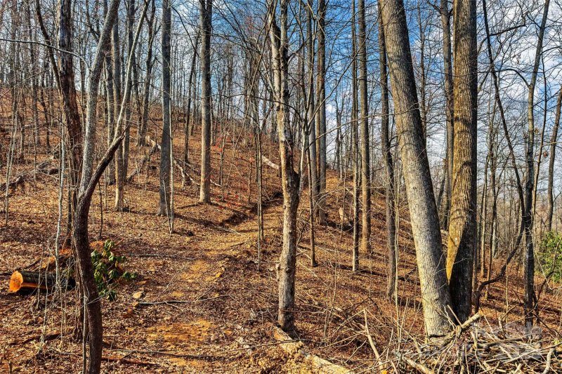 Property image 5 at Lot 224 Cumberland Falls Trail, Black Mountain, NC 28711