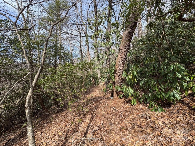 Property image 4 at L2 Windy Gap Lane, Sapphire, NC 28774