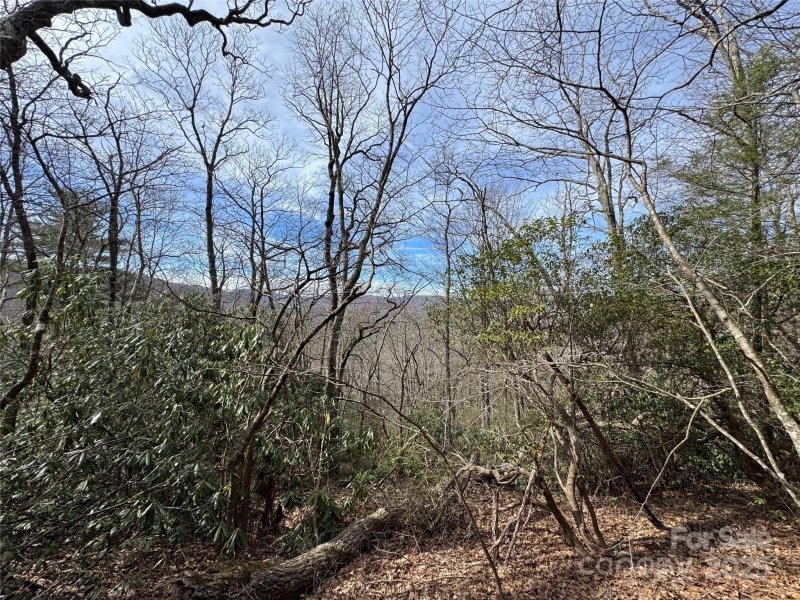 Property image 5 at L2 Windy Gap Lane, Sapphire, NC 28774