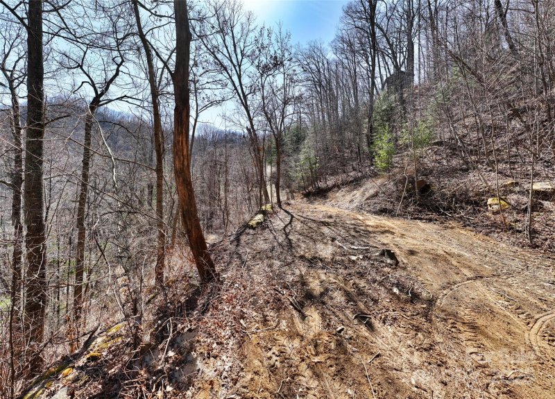 Property image 5 of 99999 Green Ridge Falls Road in Greenridge Falls, Barnardsville, NC 28709