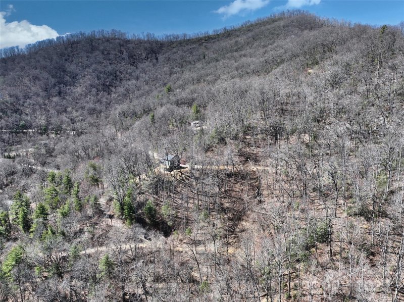 Property image 2 of 11 Taryn Trace in Greenridge Falls, Barnardsville, NC 28709