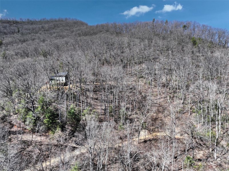 Property image 5 of 11 Taryn Trace in Greenridge Falls, Barnardsville, NC 28709