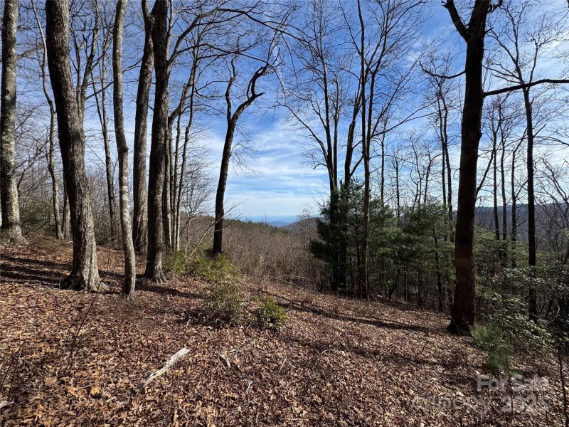 Property image 3 at L5 Windy Gap Lane, Sapphire, NC 28774