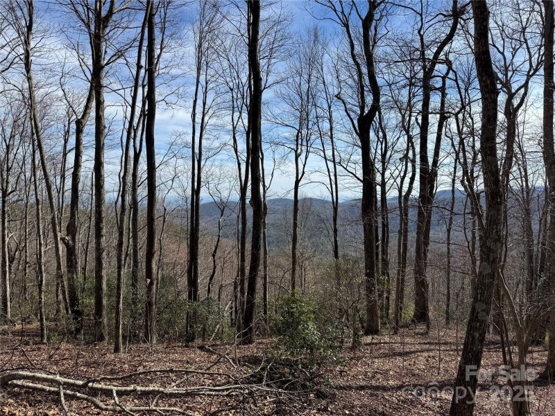 Property image 4 at L5 Windy Gap Lane, Sapphire, NC 28774