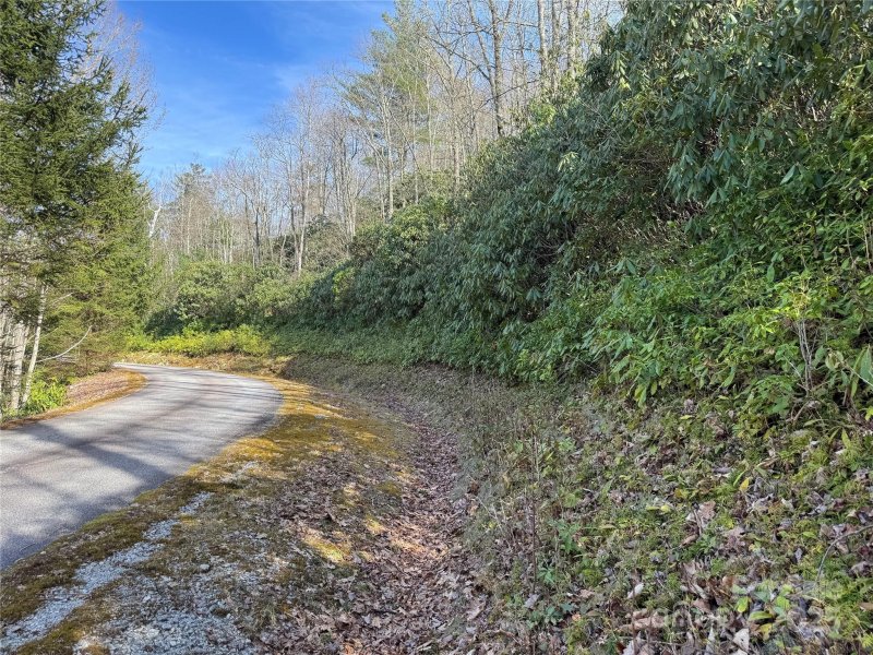 Property image 3 at L13 Black Bear Court, Sapphire, NC 28774