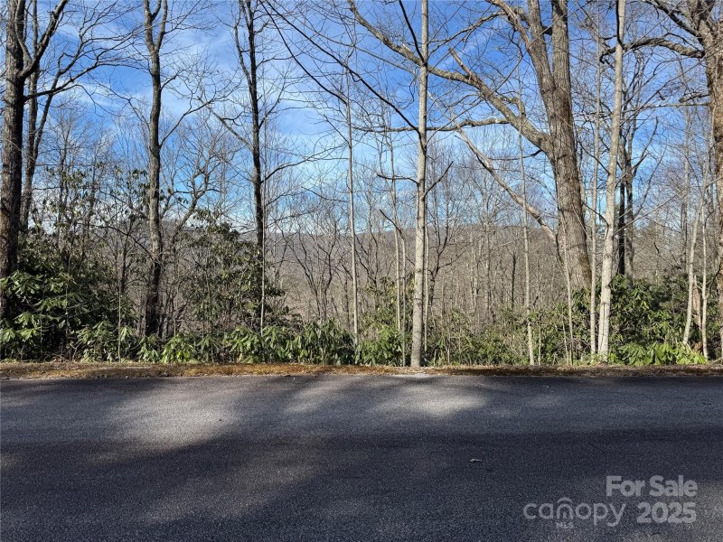 Property image 4 at L13 Black Bear Court, Sapphire, NC 28774