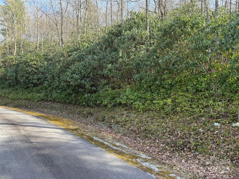 Property image 5 at L13 Black Bear Court, Sapphire, NC 28774