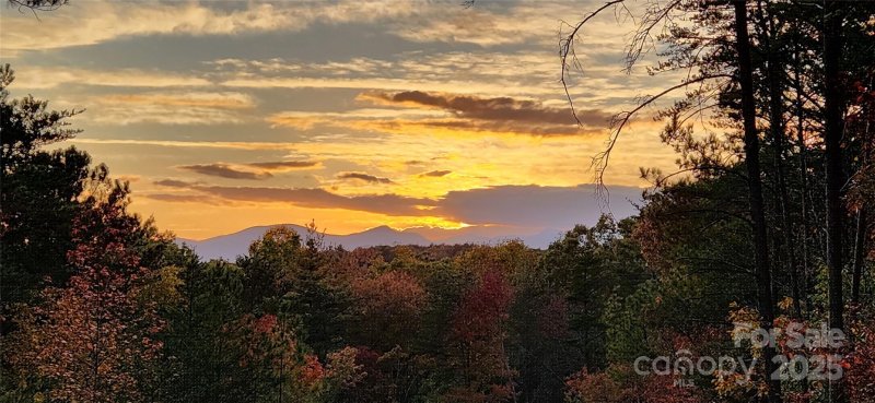 Pisgah Preserve, Nebo Community